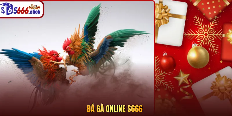 Đá gà online S666