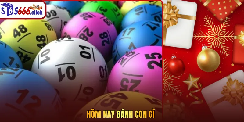 Hôm nay đánh con gì