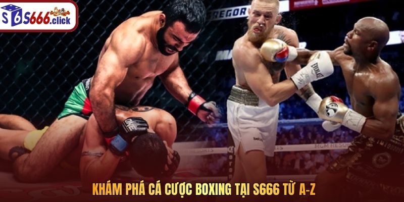 Khám phá cá cược boxing tại S666 từ A–Z
