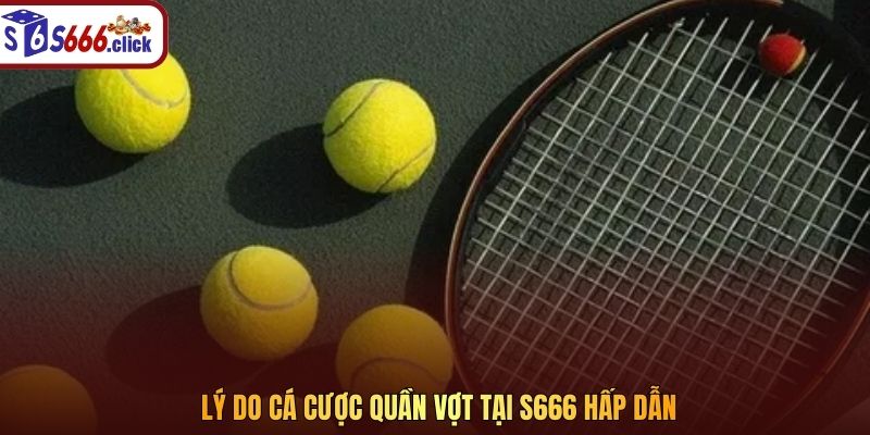 Lý do cá cược Quần Vợt tại S666 hấp dẫn
